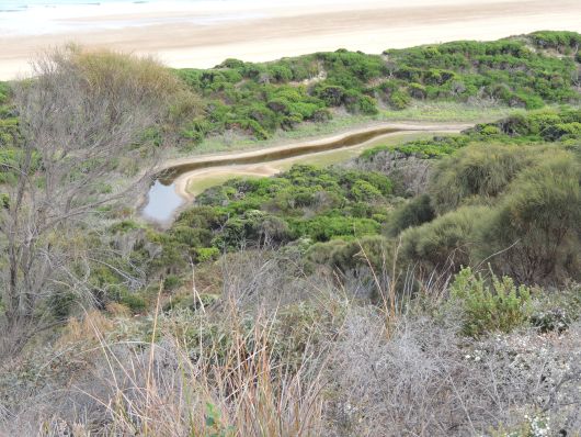 Reason for Rainbow Snake